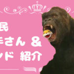 おすすめのnana民歌い手さん＆サウンド紹介 vol.4